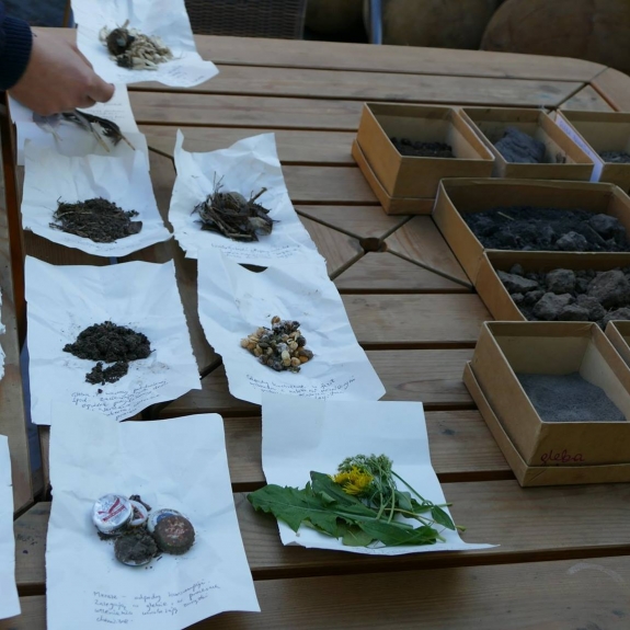 Kawiarnia Naukowa Ogrodu Botaniczne UW