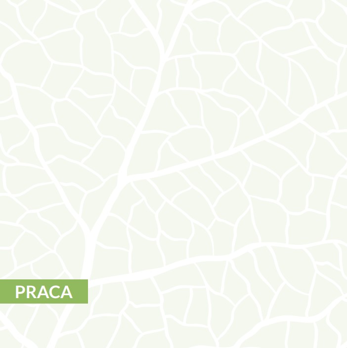 współpraca